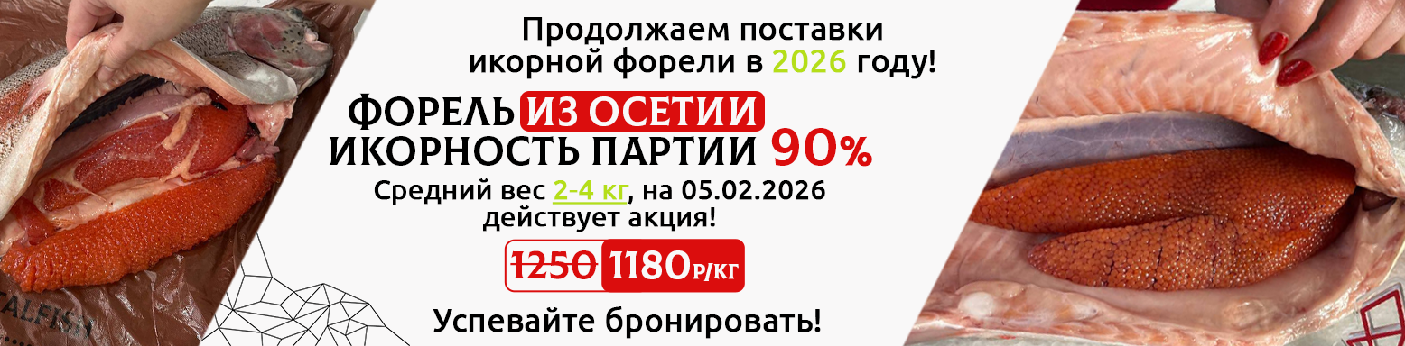 икорная Осетия 05.02