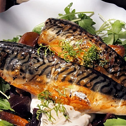 Скумбрия с/м
