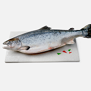 Лосось Чили 3-4 кг, с/м